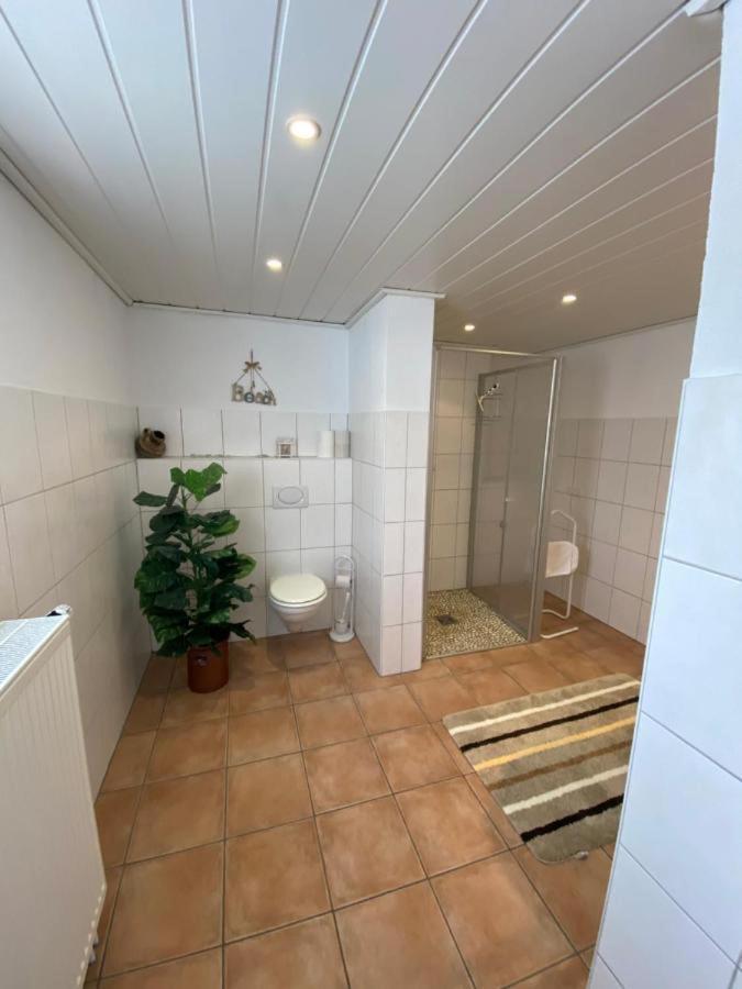 Ferienwohnung-Gasthaus Zum Ross Erlenbach am Main Zewnętrze zdjęcie